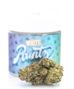 white runtz strain