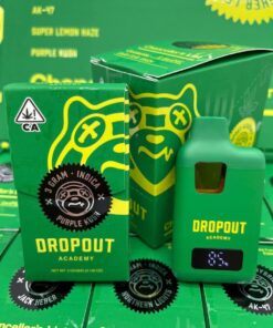 dropout academy disposable