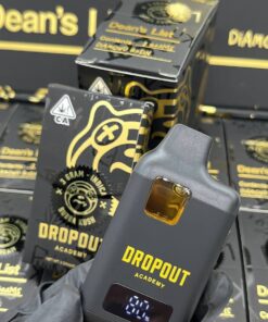 dropout academy